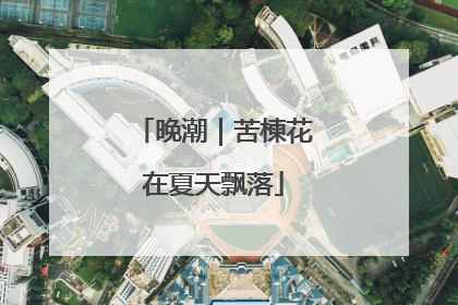 晚潮｜苦楝花在夏天飘落