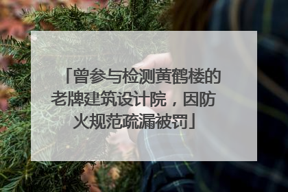 曾参与检测黄鹤楼的老牌建筑设计院，因防火规范疏漏被罚