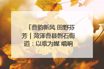 曹韵新风 田野芬芳｜菏泽曹县磐石街道：以歌为媒 唱响乡土“新歌声”
