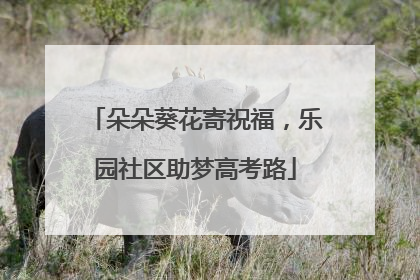 朵朵葵花寄祝福，乐园社区助梦高考路