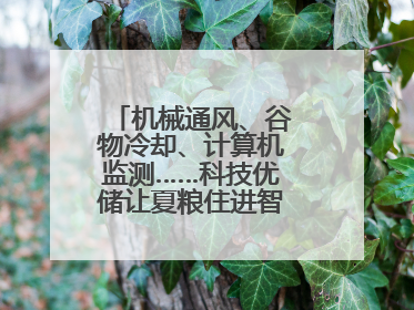 机械通风、谷物冷却、计算机监测……科技优储让夏粮住进智慧的“家”