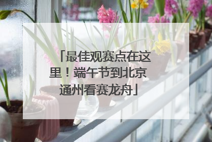 最佳观赛点在这里！端午节到北京通州看赛龙舟