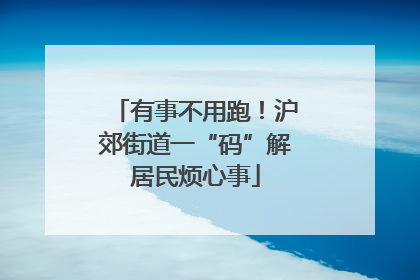 有事不用跑！沪郊街道一“码”解居民烦心事