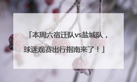 本周六宿迁队vs盐城队，球迷观赛出行指南来了！