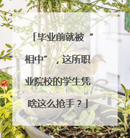 毕业前就被“相中”，这所职业院校的学生凭啥这么抢手？