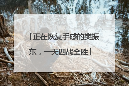 正在恢复手感的樊振东，一天四战全胜