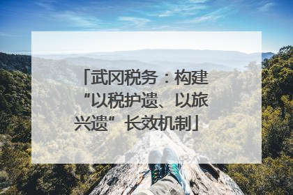 武冈税务：构建“以税护遗、以旅兴遗”长效机制