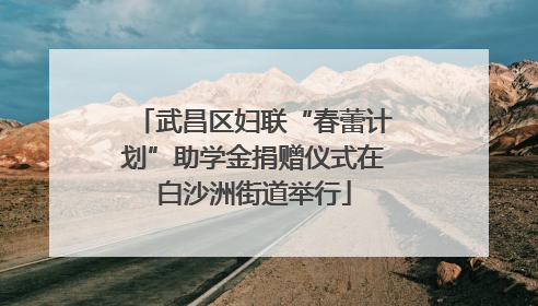 武昌区妇联“春蕾计划”助学金捐赠仪式在白沙洲街道举行