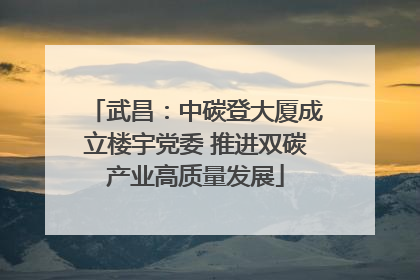 武昌：中碳登大厦成立楼宇党委 推进双碳产业高质量发展
