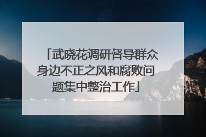 武晓花调研督导群众身边不正之风和腐败问题集中整治工作