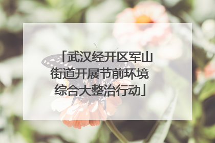 武汉经开区军山街道开展节前环境综合大整治行动