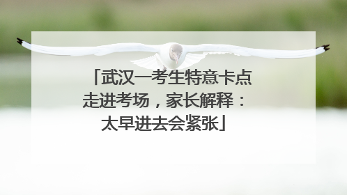 武汉一考生特意卡点走进考场，家长解释：太早进去会紧张