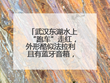 武汉东湖水上“跑车”走红，外形酷似法拉利且有蓝牙音箱，负责人：高峰期一两百人排队
