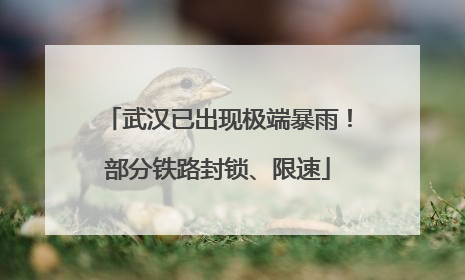 武汉已出现极端暴雨！部分铁路封锁、限速