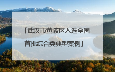 武汉市黄陂区入选全国首批综合类典型案例