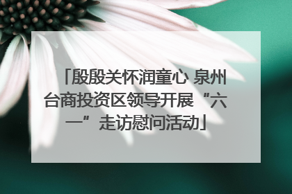 殷殷关怀润童心 泉州台商投资区领导开展“六一”走访慰问活动