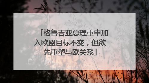 格鲁吉亚总理重申加入欧盟目标不变，但欲先重塑与欧关系