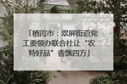 栖霞市：翠屏街道党工委领办联合社让“农特好品”香飘四方