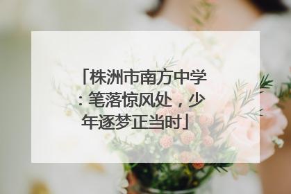 株洲市南方中学：笔落惊风处，少年逐梦正当时