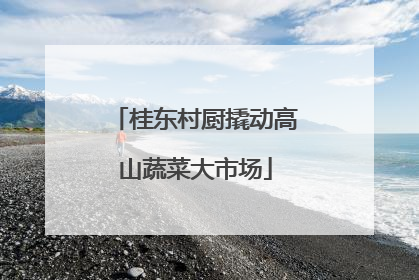 桂东村厨撬动高山蔬菜大市场