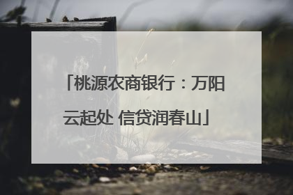 桃源农商银行：万阳云起处 信贷润春山