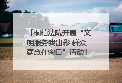 桐柏法院开展“文明服务我出彩 群众满意在窗口”活动