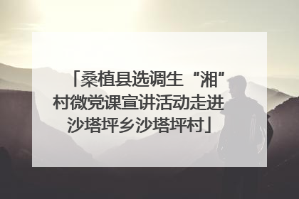 桑植县选调生“湘”村微党课宣讲活动走进沙塔坪乡沙塔坪村
