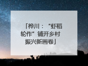 桦川：“虾稻轮作”铺开乡村振兴新画卷
