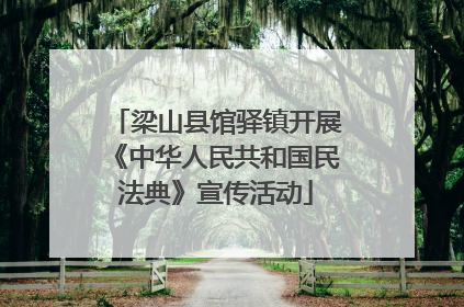 梁山县馆驿镇开展《中华人民共和国民法典》宣传活动