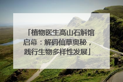植物医生高山石斛馆启幕：解码仙草奥秘，践行生物多样性发展