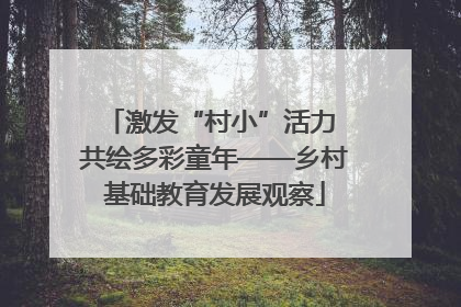 激发“村小”活力 共绘多彩童年——乡村基础教育发展观察