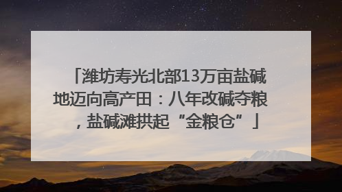 潍坊寿光北部13万亩盐碱地迈向高产田：八年改碱夺粮，盐碱滩拱起“金粮仓”