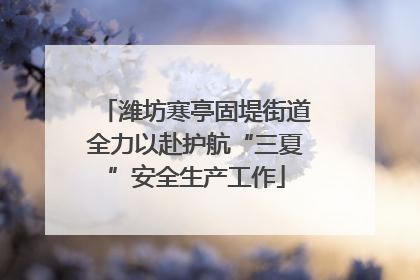 潍坊寒亭固堤街道全力以赴护航“三夏”安全生产工作