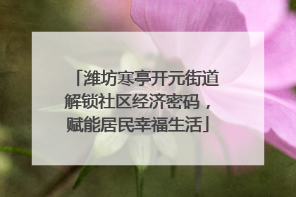 潍坊寒亭开元街道解锁社区经济密码，赋能居民幸福生活