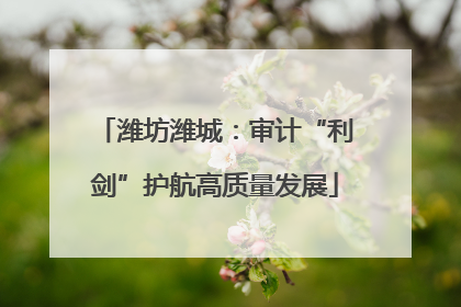 潍坊潍城：审计“利剑”护航高质量发展