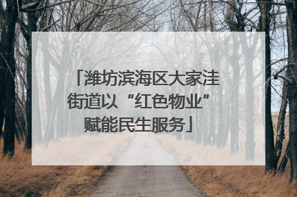 潍坊滨海区大家洼街道以“红色物业”赋能民生服务