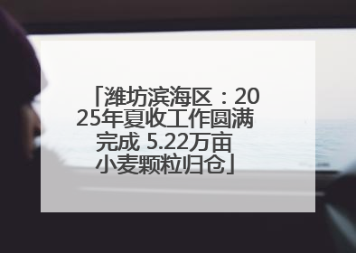 潍坊滨海区：2025年夏收工作圆满完成 5.22万亩小麦颗粒归仓
