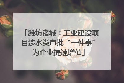 潍坊诸城：工业建设项目涉水类审批“一件事” 为企业提速增值