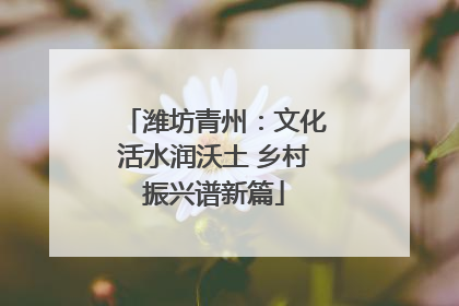 潍坊青州：文化活水润沃土 乡村振兴谱新篇