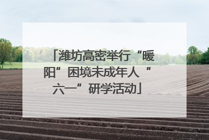 潍坊高密举行“暖阳”困境未成年人“六一”研学活动