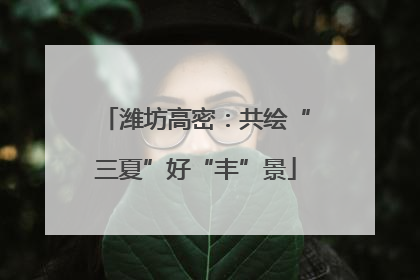 潍坊高密：共绘“三夏”好“丰”景