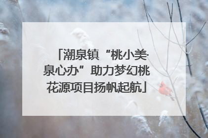 潮泉镇“桃小美·泉心办”助力梦幻桃花源项目扬帆起航