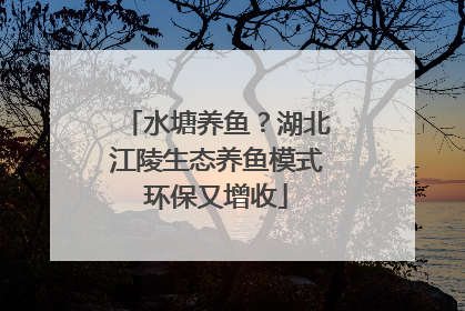 水塘养鱼？湖北江陵生态养鱼模式环保又增收