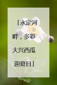 永定河畔，多彩大兴西瓜迎夏日