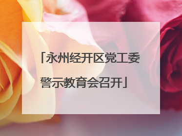 永州经开区党工委警示教育会召开