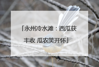 永州冷水滩：西瓜获丰收 瓜农笑开怀