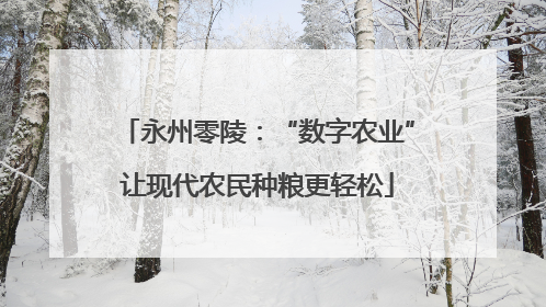 永州零陵：“数字农业”让现代农民种粮更轻松