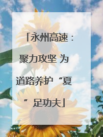 永州高速：聚力攻坚 为道路养护“夏”足功夫