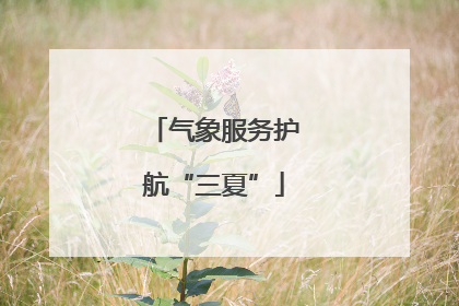 气象服务护航“三夏”