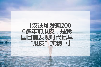 汉遗址发现2000多年前瓜皮，是我国目前发现时代最早“瓜皮”实物→